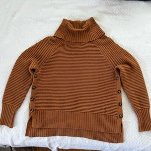 Rachel Ashwell Size Large Turtleneck Sweater